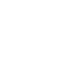 phone_icon